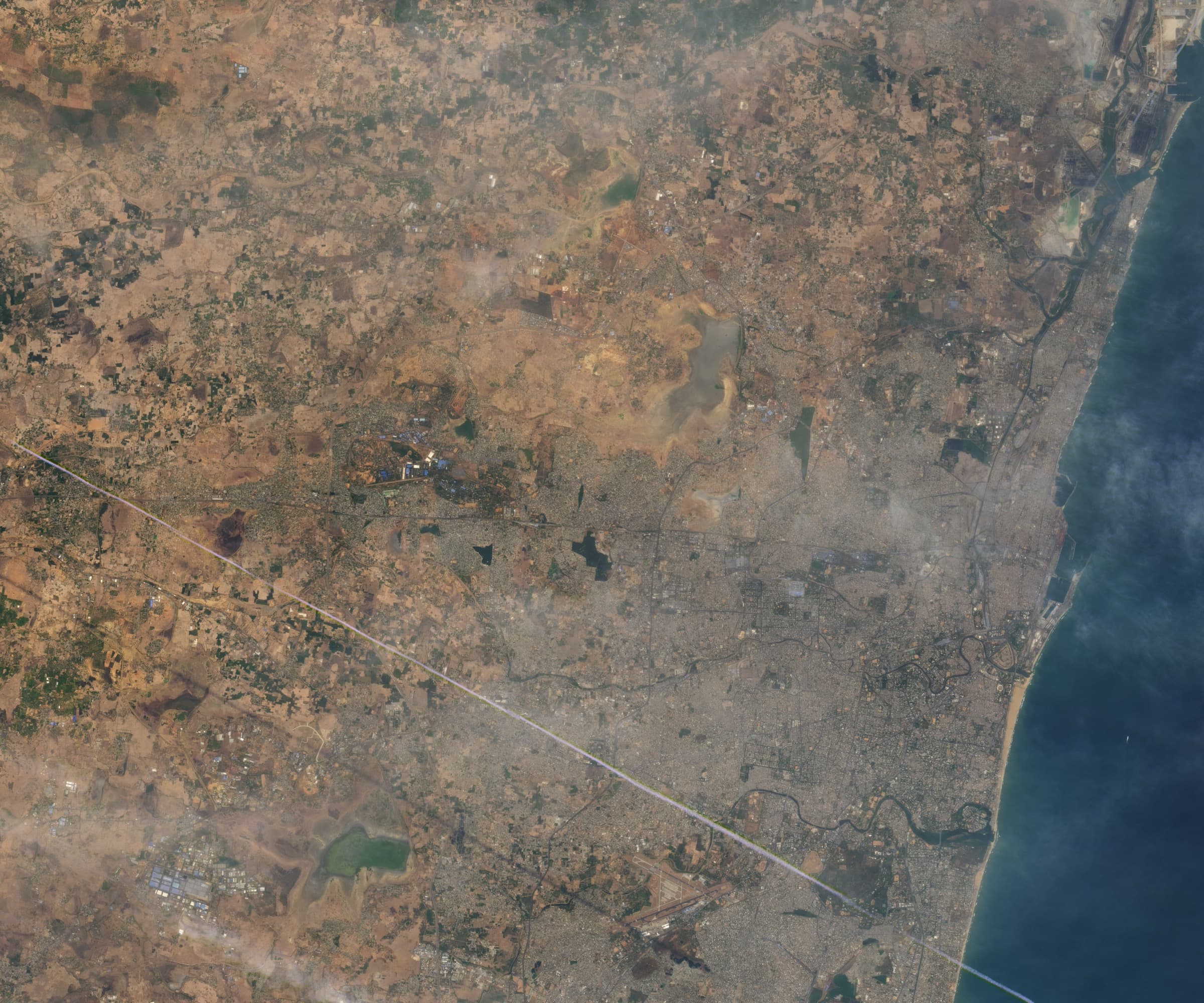 Landsat 8 OLI image of the same Puzhal (Red Hills) reservoir on 19 June 2019. The reservoir has shrunk to a thin streak of water in one corner; most of the bowl is dry, exposed earth.