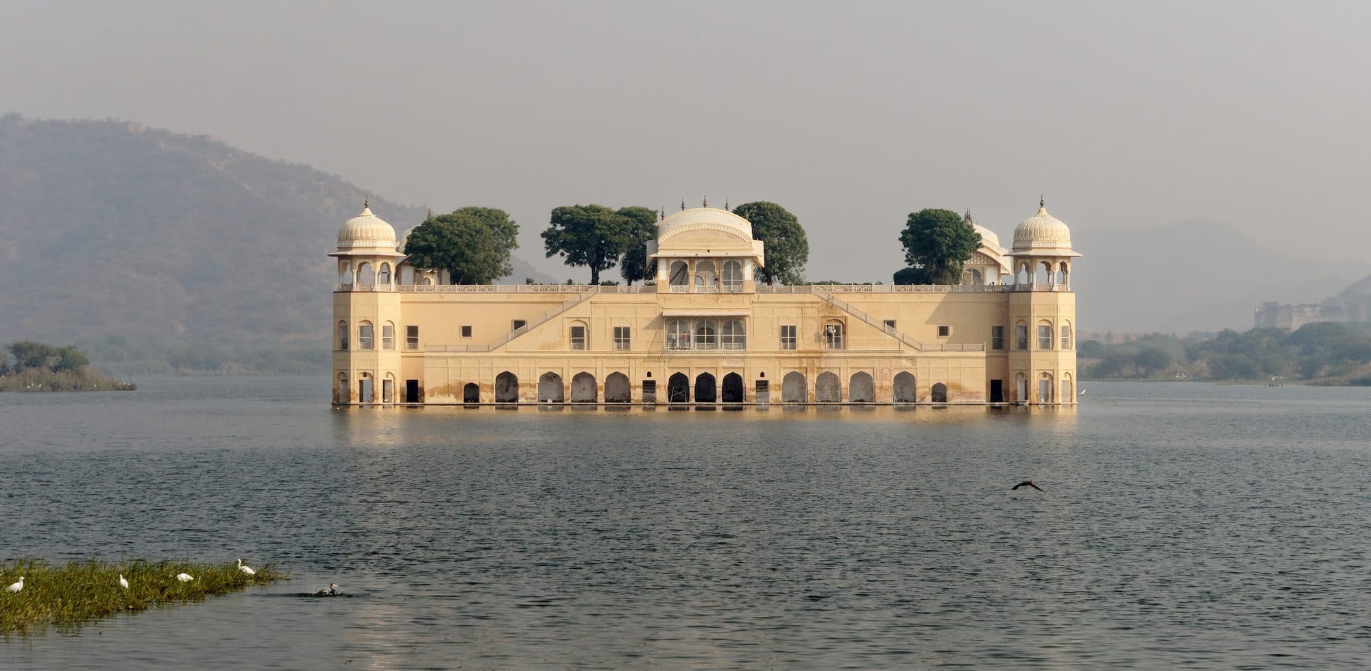 Jal Mahal, a long pale-yellow palace with domed corner pavilions and trees growing on its roof, standing in the still water of Man Sagar lake. Hazy hills rise behind it, egrets stand on a strip of green in the foreground, and a bird flies low over the water.
